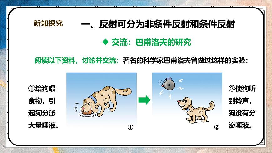 2024-2025学年北师大版生物七年级下册 4.10.1.3神经系统与神经调节（第三课时） 课件第4页