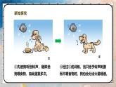 2024-2025學年北師大版生物七年級下冊 4.10.1.3神經系統(tǒng)與神經調節(jié)（第三課時） 課件