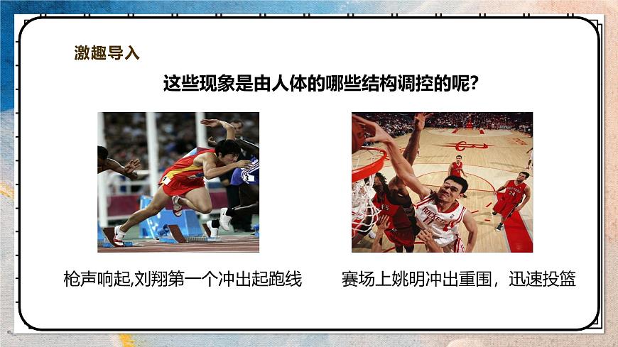 2024-2025学年北师大版生物七年级下册 4.10.1.1神经系统与神经调节（第一课时） 课件第3页