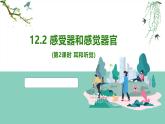 2024-2025學(xué)年北師大版生物七年級下冊 4.10.2  感受器和感覺器官（第2課時(shí) 耳和聽覺） 課件