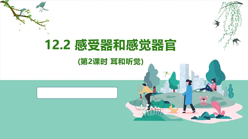2024-2025学年北师大版生物七年级下册 4.10.2 感受器和感觉器官（第2课时 耳和听觉） 课件第1页