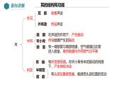 2024-2025學(xué)年北師大版生物七年級下冊 4.10.2  感受器和感覺器官（第2課時(shí) 耳和聽覺） 課件
