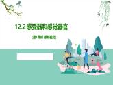 2024-2025學(xué)年北師大版生物七年級下冊 4.10.2 感受器和感覺器官（第1課時(shí) 眼和視覺） 課件