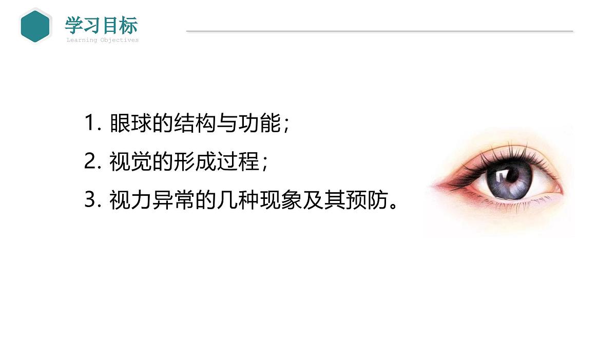 2024-2025学年北师大版生物七年级下册 4.10.2 感受器和感觉器官（第1课时 眼和视觉） 课件第2页