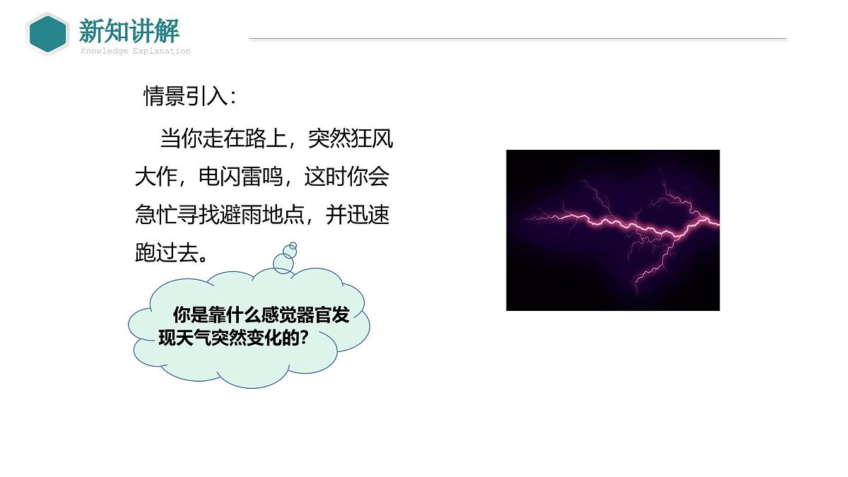 2024-2025学年北师大版生物七年级下册 4.10.2 感受器和感觉器官（第1课时 眼和视觉） 课件第4页