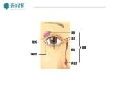 2024-2025學(xué)年北師大版生物七年級下冊 4.10.2 感受器和感覺器官（第1課時(shí) 眼和視覺） 課件