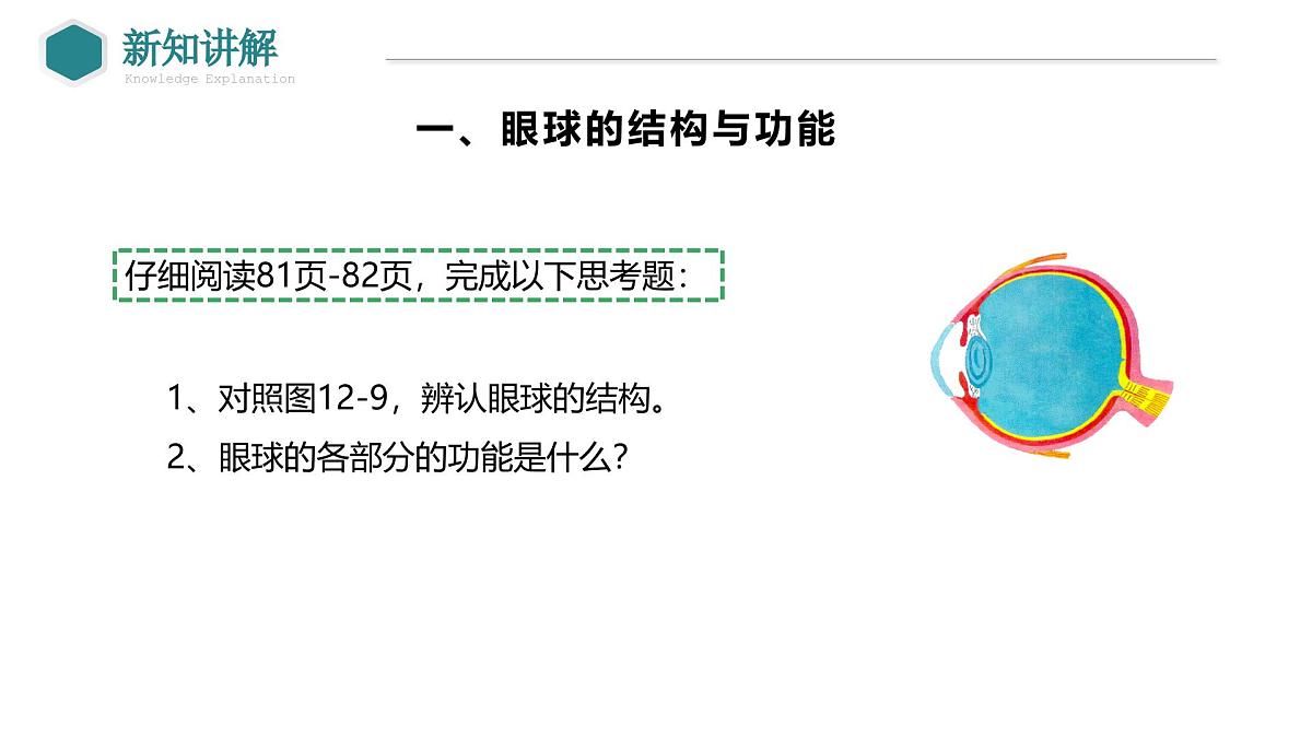 2024-2025学年北师大版生物七年级下册 4.10.2 感受器和感觉器官（第1课时 眼和视觉） 课件第6页