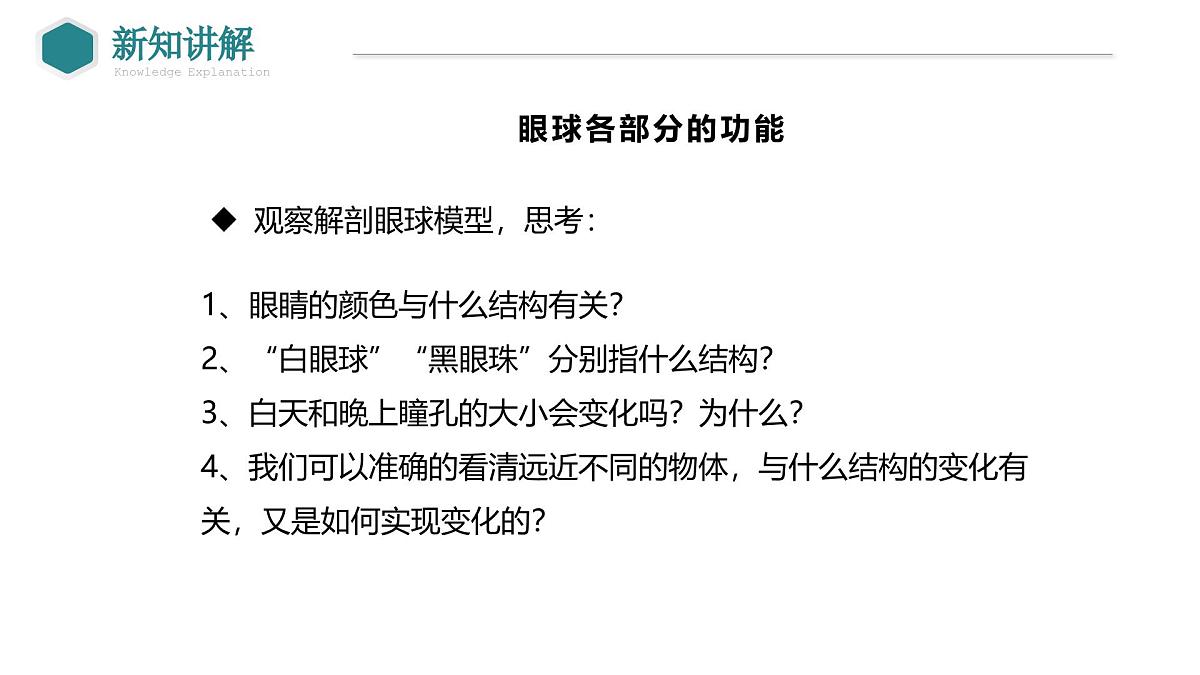 2024-2025学年北师大版生物七年级下册 4.10.2 感受器和感觉器官（第1课时 眼和视觉） 课件第8页