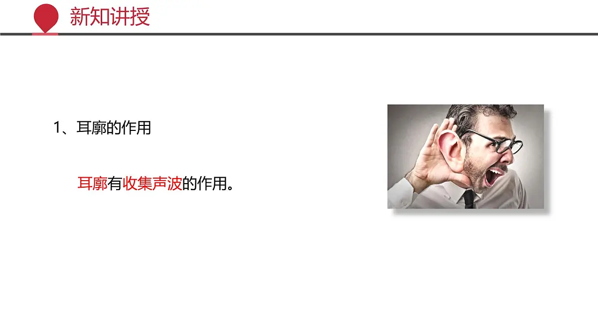 2024-2025学年北师大版生物七年级下册 4.10.2 感受器和感觉器官（第二课时） 课件第6页