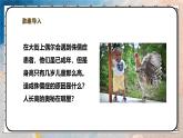 2024-2025學(xué)年北師大版生物七年級(jí)下冊(cè) 4.10.3.1激素調(diào)節(jié)（第一課時(shí)） 課件