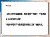 2024-2025學(xué)年北師大版生物七年級(jí)下冊(cè) 4.10.3.2激素調(diào)節(jié)（第二課時(shí)） 課件