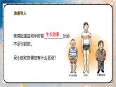2024-2025學(xué)年北師大版生物七年級(jí)下冊(cè) 4.10.3.2激素調(diào)節(jié)（第二課時(shí)） 課件