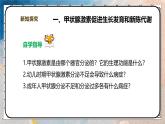 2024-2025學(xué)年北師大版生物七年級(jí)下冊(cè) 4.10.3.2激素調(diào)節(jié)（第二課時(shí)） 課件