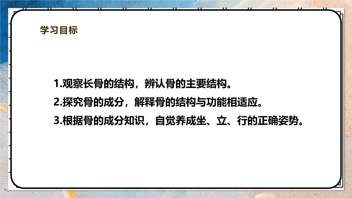 2024-2025学年北师大版生物七年级下册 4.11.1人体的骨骼（第一课时） 课件第2页