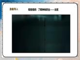 2024-2025學(xué)年北師大版生物七年級下冊 4.11.1人體的骨骼（第一課時） 課件