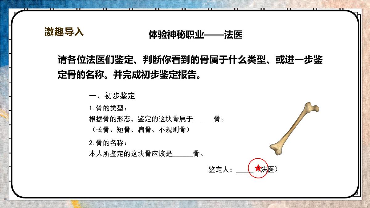 2024-2025学年北师大版生物七年级下册 4.11.1人体的骨骼（第一课时） 课件第4页