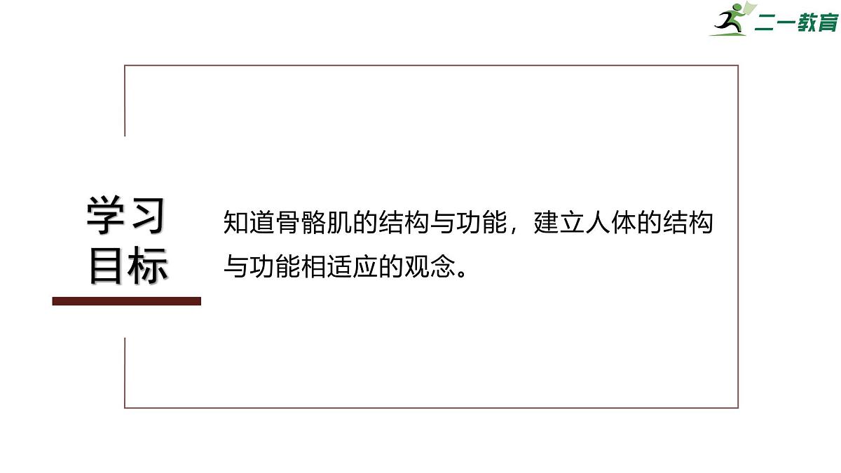 2024-2025学年北师大版生物七年级下册 4.11.2 人体的骨骼肌 课件第3页