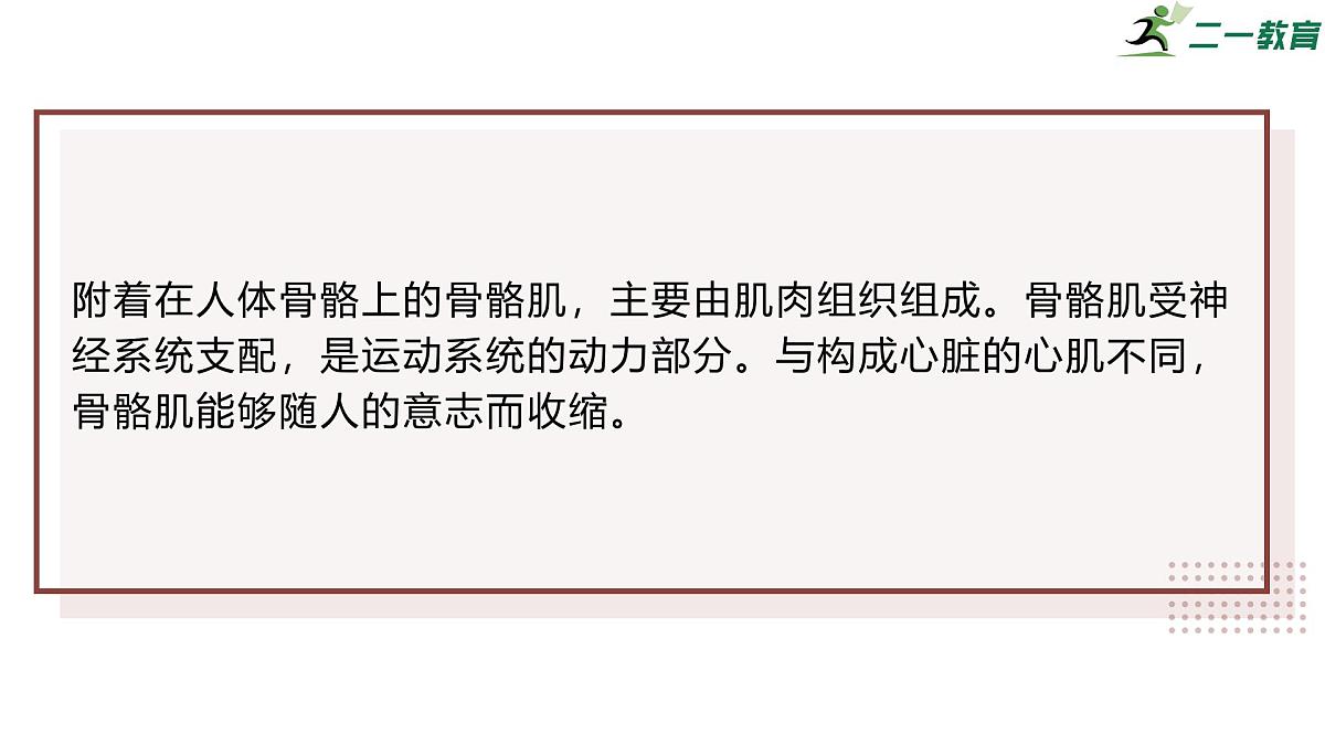 2024-2025学年北师大版生物七年级下册 4.11.2 人体的骨骼肌 课件第4页