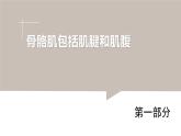 2024-2025學(xué)年北師大版生物七年級(jí)下冊(cè) 4.11.2 人體的骨骼肌 課件