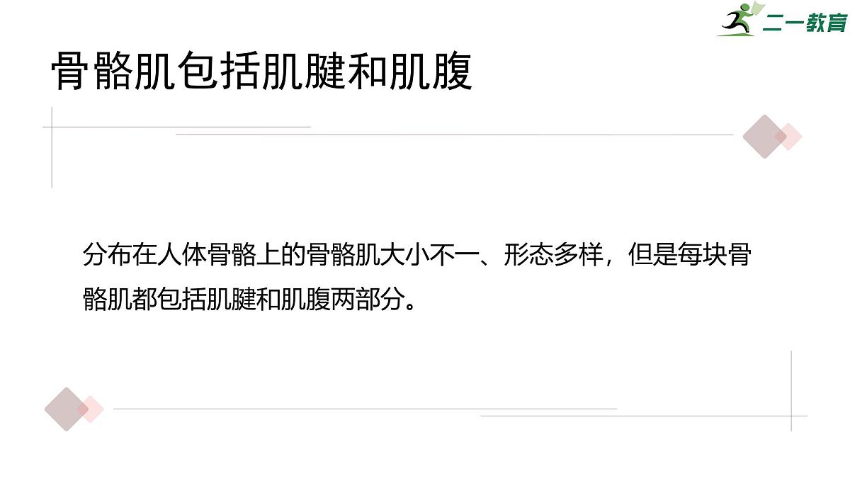 2024-2025学年北师大版生物七年级下册 4.11.2 人体的骨骼肌 课件第6页