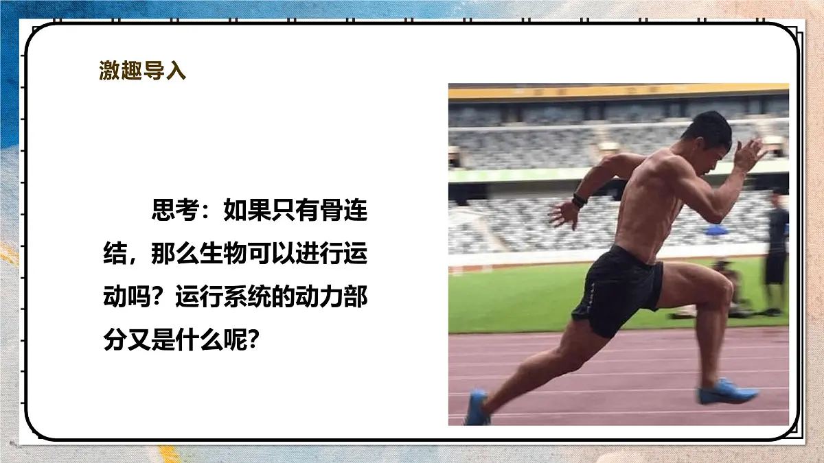 2024-2025学年北师大版生物七年级下册 4.11.2人体的骨骼肌 课件第3页