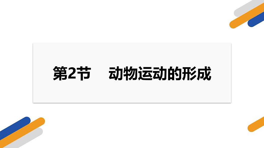 2024-2025学年北师大版生物七年级下册 4.11.3  动物运动的形成 课件第1页