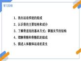 2024-2025學年北師大版生物七年級下冊 4.11.3  動物運動的形成 課件