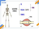 2024-2025學年北師大版生物七年級下冊 4.11.3  動物運動的形成 課件