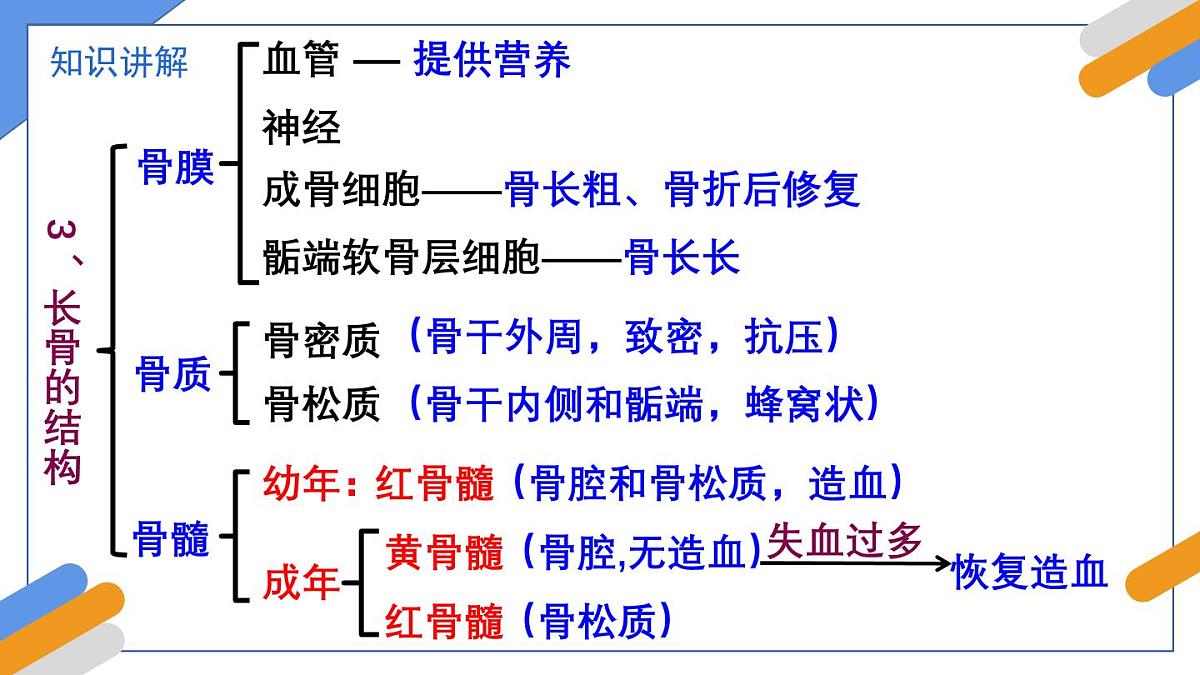 2024-2025学年北师大版生物七年级下册 4.11.3  动物运动的形成 课件第7页
