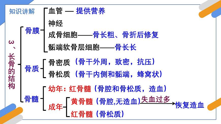 2024-2025学年北师大版生物七年级下册 4.11.3  动物运动的形成 课件第7页