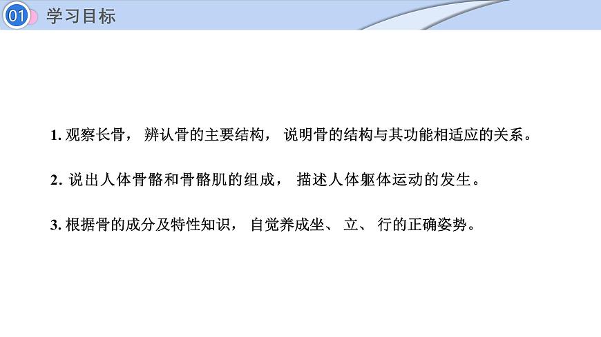 2024-2025学年北师大版生物七年级下册 4.11.3  动物运动的形成 (2) 课件第2页