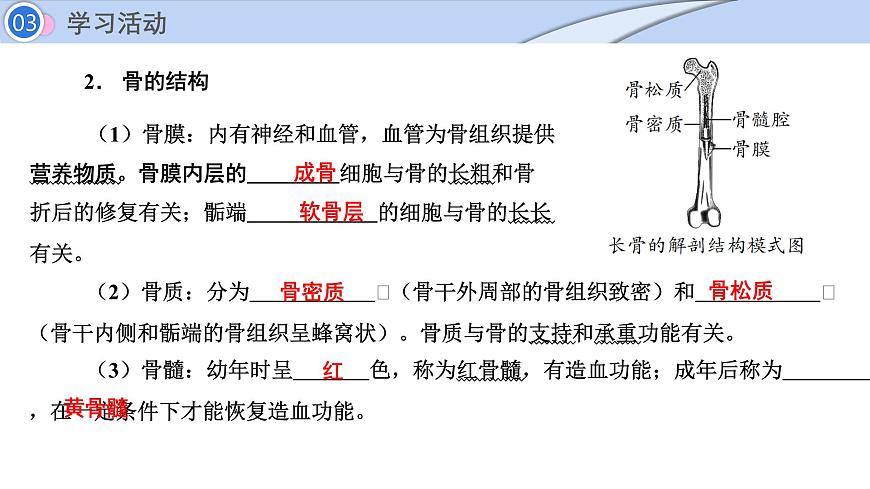 2024-2025学年北师大版生物七年级下册 4.11.3  动物运动的形成 (2) 课件第5页