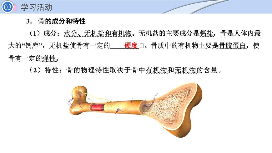 2024-2025学年北师大版生物七年级下册 4.11.3  动物运动的形成 (2) 课件第6页