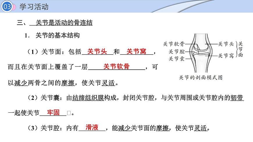 2024-2025学年北师大版生物七年级下册 4.11.3  动物运动的形成 (2) 课件第7页