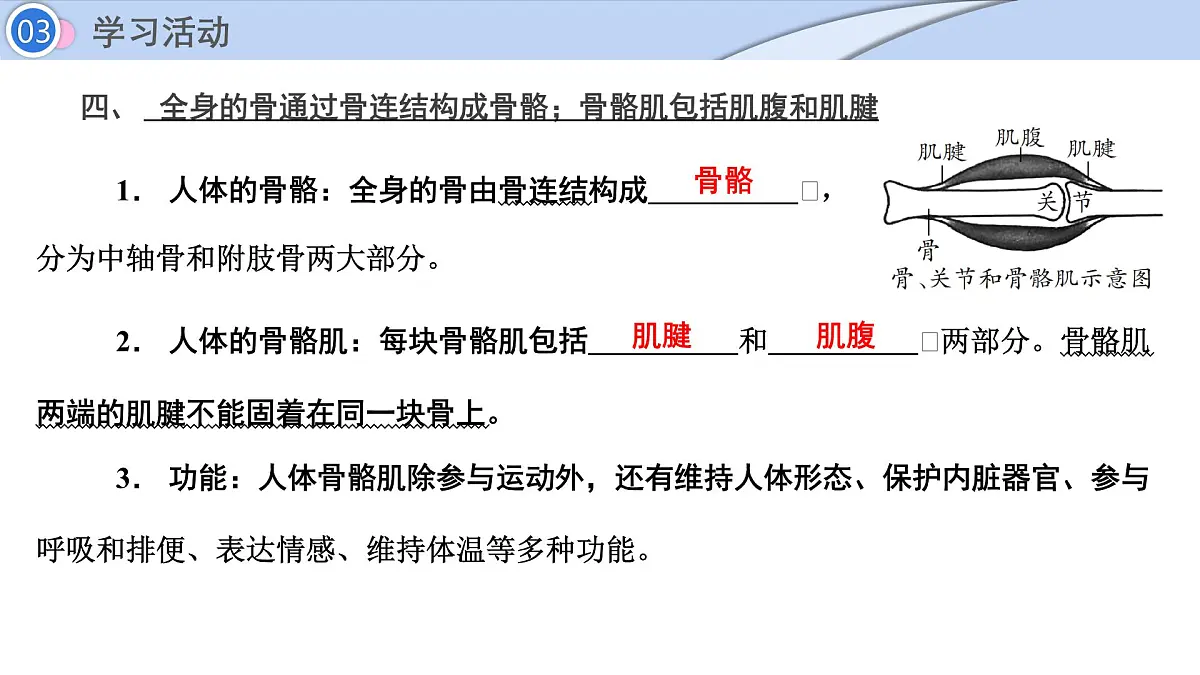 2024-2025学年北师大版生物七年级下册 4.11.3 动物运动的形成 (2) 课件第8页