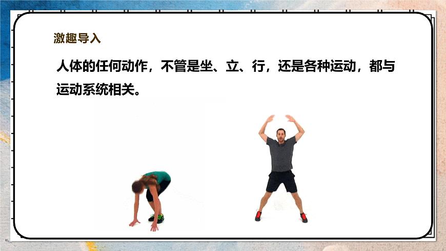 2024-2025学年北师大版生物七年级下册 4.11.3 运动的形成 课件第3页