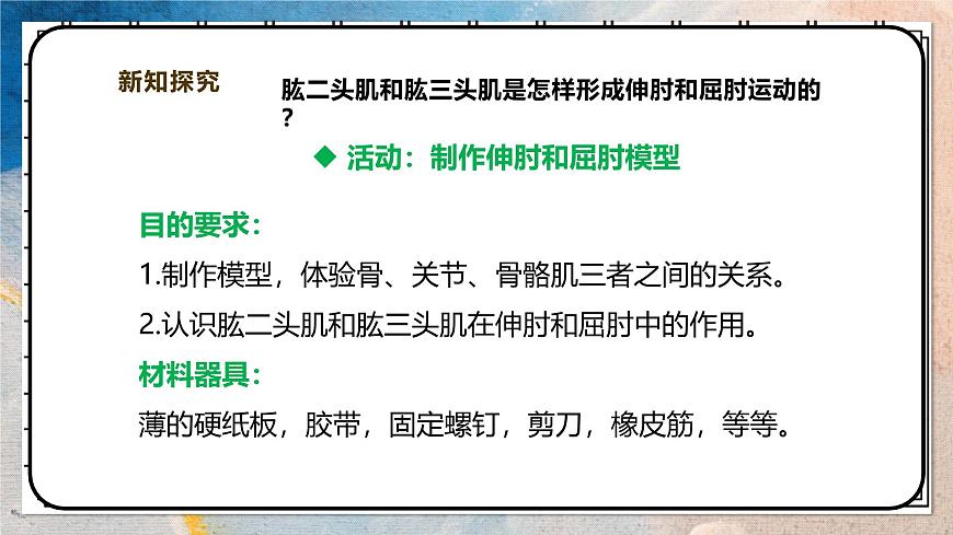 2024-2025学年北师大版生物七年级下册 4.11.3 运动的形成 课件第7页