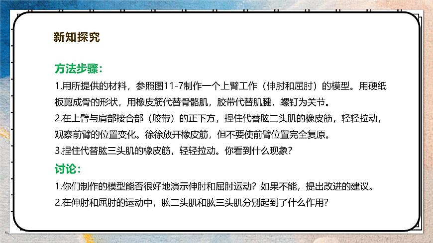 2024-2025学年北师大版生物七年级下册 4.11.3 运动的形成 课件第8页