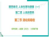 4.2.2 消化和吸收 - 初中生物七年級下冊 同步教學(xué)課件+教學(xué)設(shè)計(jì)（人教版2024）