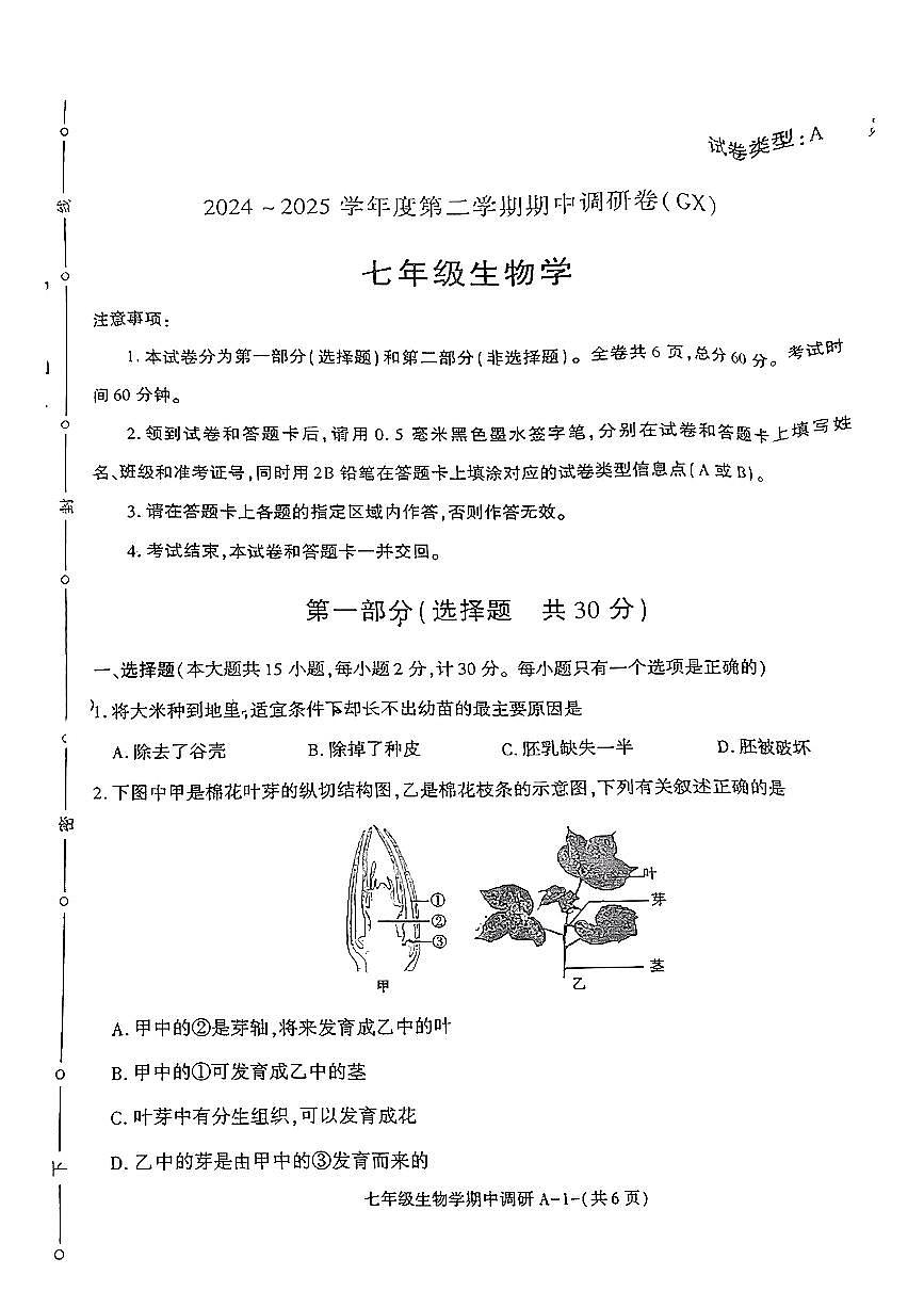 陕西省榆林市米脂2024-2025学年七年级下生物期中试卷第1页