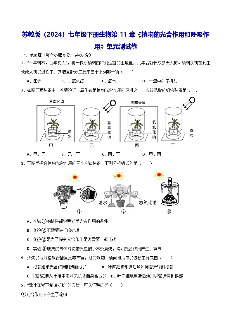 苏教版（2024）七年级下册生物第11章《植物的光合作用和呼吸作用》单元测试卷（含答案解析）第1页