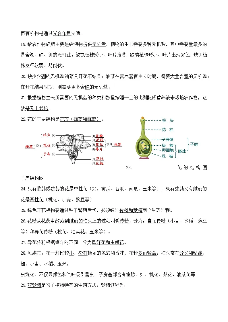 人教版（2024）七年级下册生物期末复习全册知识点考点提纲 学案第3页