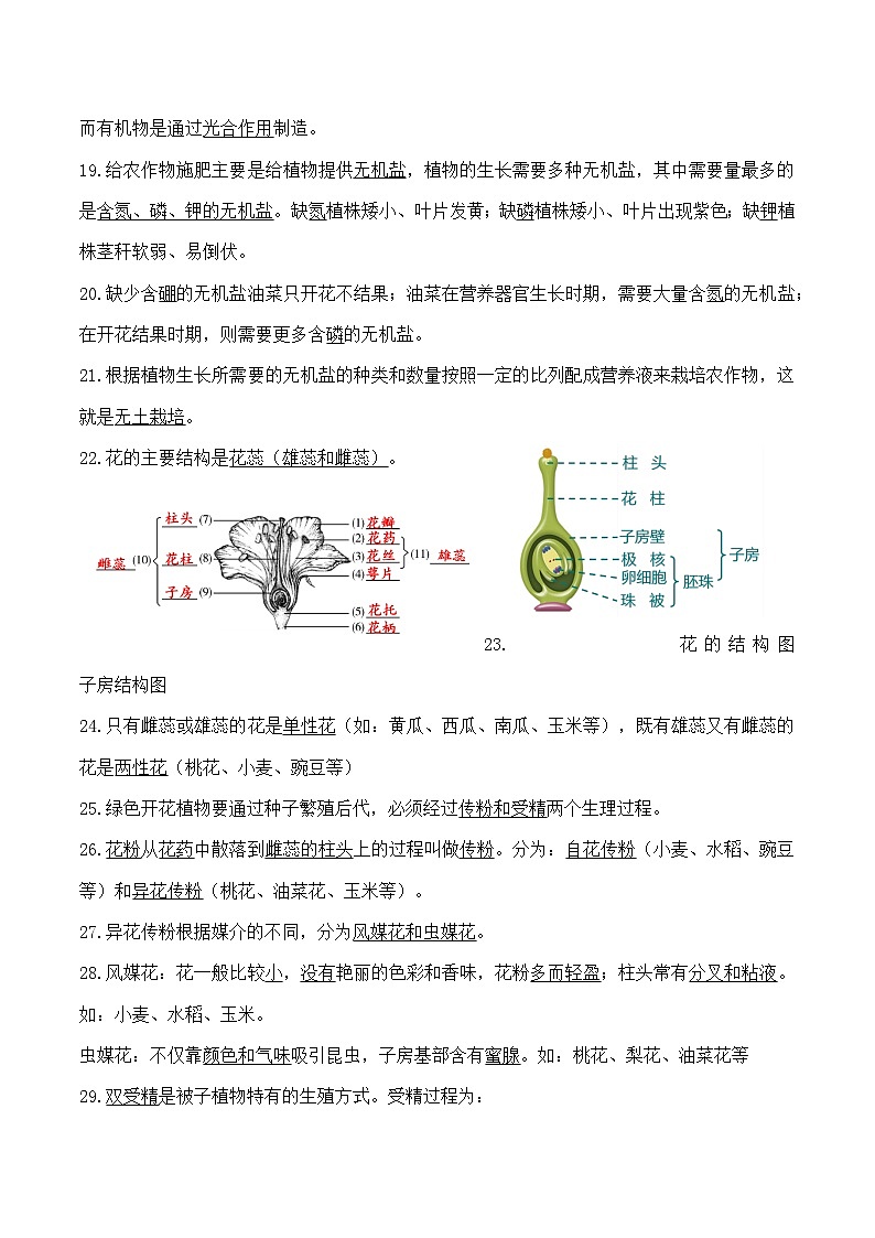 人教版（2024）七年级下册生物期末复习全册知识点考点提纲 学案第3页