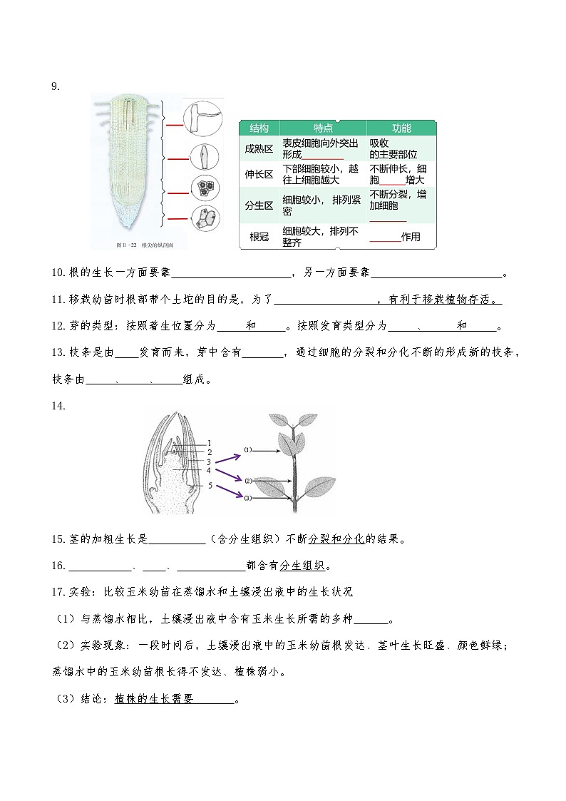 人教版（2024）七年级下册生物期末复习全册知识点提纲填空练习版（含答案）第2页
