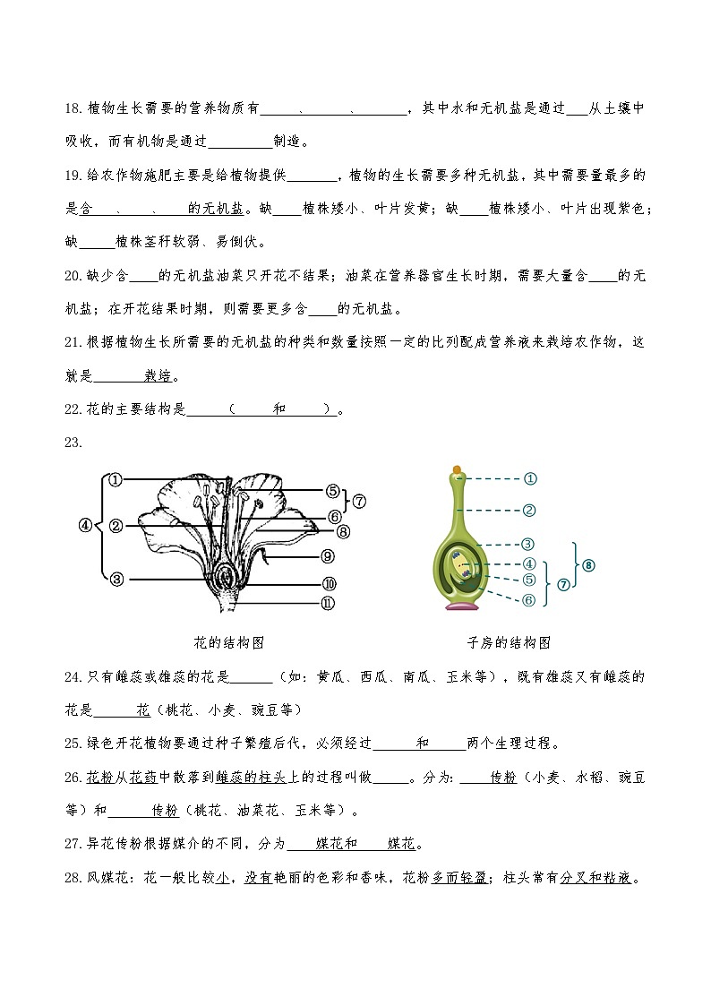 人教版（2024）七年级下册生物期末复习全册知识点提纲填空练习版（含答案）第3页