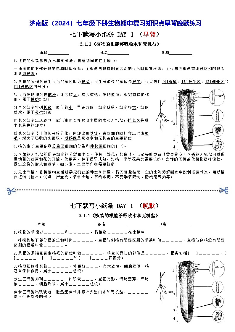 济南版（2024）七年级下册生物期中复习知识点早背晚默练习（含答案）第1页