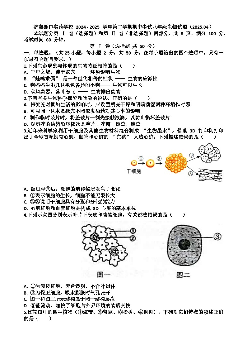 2024—2025年济南天桥区泺口实验学校第二学期八年级生物期中考试试题（含答案）第1页