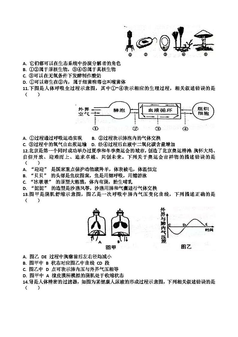 2024—2025年济南天桥区泺口实验学校第二学期八年级生物期中考试试题（含答案）第3页