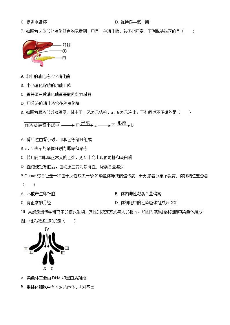 2025年广西桂林市第一中学八年级中考一模生物试题（原卷版+解析版）第2页