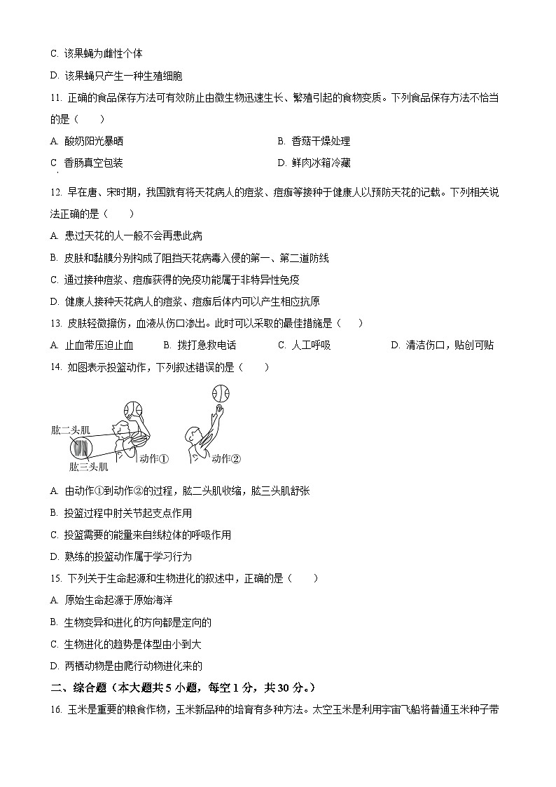 2025年广西桂林市第一中学八年级中考一模生物试题（原卷版+解析版）第3页
